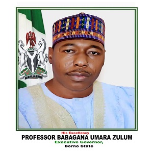 BORNO GOV 2020